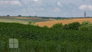 Прогноз погоды на 16 июня