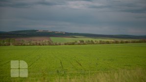 Прогноз погоды на 10 июня