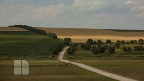 Каким будет последний день весны: прогнозы синоптиков