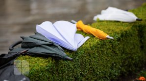 Ожидаются дожди: прогноз погоды на 17 июня