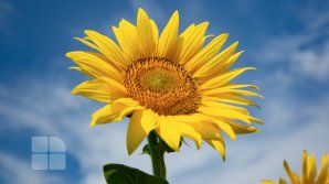 Прогноз погоды на 22 июня