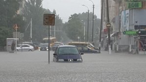 Потоп в Бендерах: вода доходит до колена, собаки переплывают через дорогу (ВИДЕО)