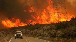 Масштабный пожар в Хынчештском районе: у коммуны Леушены сгорели около 100 гектаров сухой травы
