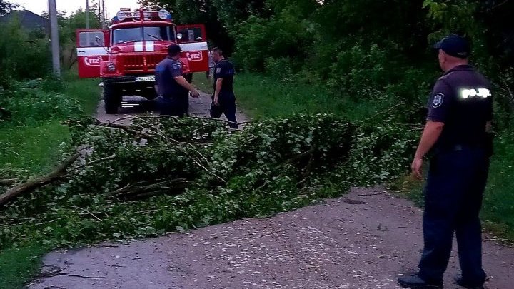 Ущерб от дождя в Молдове: подтопленные улицы, поваленные деревья, опрокинутые остановки  