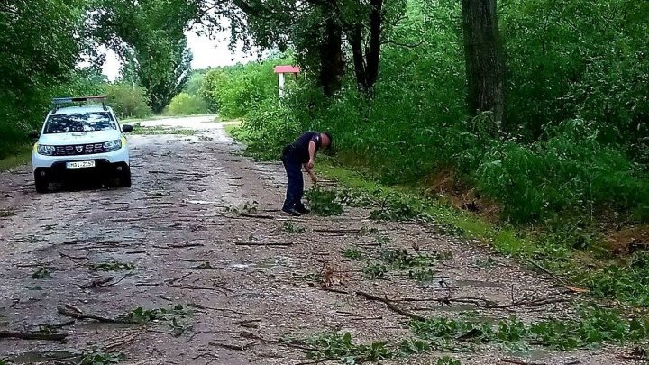 Ущерб от дождя в Молдове: подтопленные улицы, поваленные деревья, опрокинутые остановки  