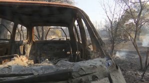 В Греции некоторые жители отказываются от эвакуации: "Если мы уедем, всё будет уничтожено!"