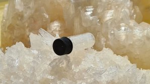 В Нидерландах нашли крупнейшую в истории страны нарколабораторию