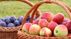 Фермеры жалуются на отсутствие сбыта яблок и сливы: реакция Минсельхоза 