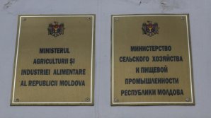 В Министерстве сельского хозяйства и пищевой промышленности назначили нового госсекретаря