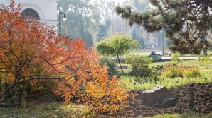 Прогноз погоды на 5 октября