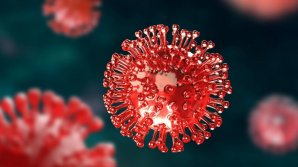 За последнюю неделю в стране зарегистрировано 547 случаев COVID