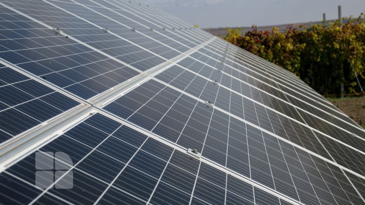 Современные технологии на службе у братьев-фермеров из Каушанского района (ФОТОРЕПОРТАЖ)