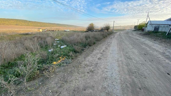 Трагедия в Ниспоренском районе: лошадь протащила по полю упавшего с телеги хозяина (ФОТО)