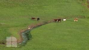 Прогноз погоды на 21 ноября