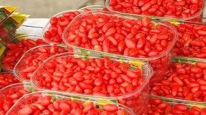 В Страшенах состоялась ярмарка лакомств и народного творчества