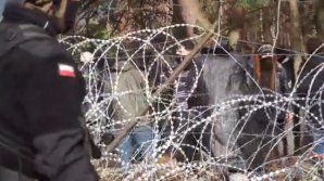 "Мы хотим в Германию": Несколько сотен мигрантов попытались прорваться в Польшу из Беларуси 