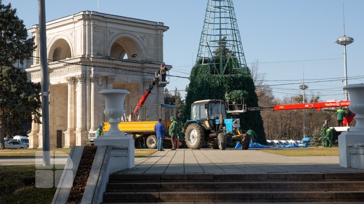 На центральной площади столицы начали установку рождественской ели