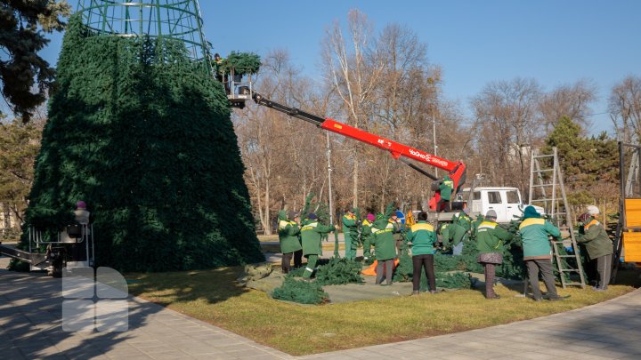 На центральной площади столицы начали установку рождественской ели