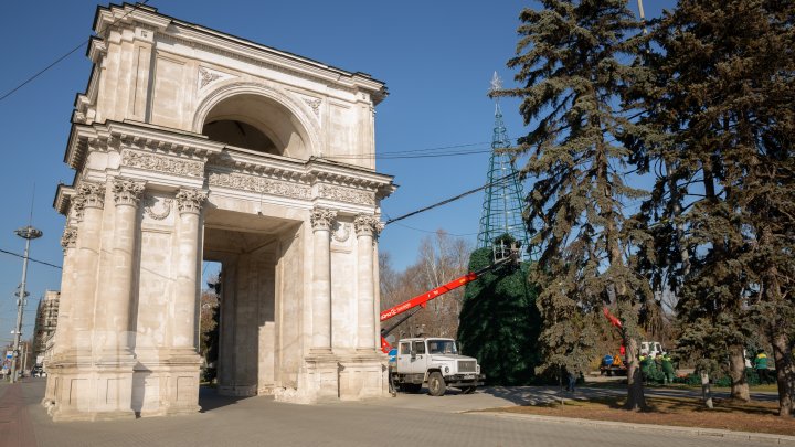 На центральной площади столицы начали установку рождественской ели