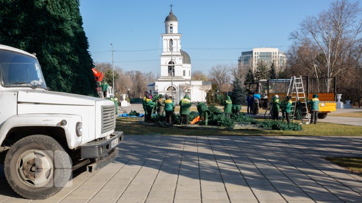 На центральной площади столицы начали установку рождественской ели