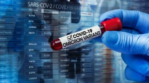 Заболеваемость омикроном в Южной Африке пошла на спад