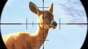 В Кагульском районе поймали двух браконьеров: в их прицепе нашли туши дикого кабана, утки и мясо косули