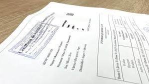  Пять человек предъявили поддельные ковид-сертификаты на госгранице