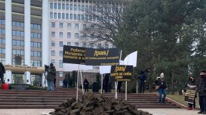 Протест с кизяком у здания парламента: "Этого топлива депутатам должно хватить на несколько дней"