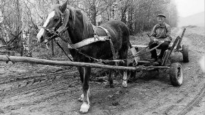 "Нужно отвезти дрова": как отметили День всех влюбленных в селе