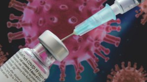 Covid-19 отступает: в течение понедельника выявили 1720 заболевших