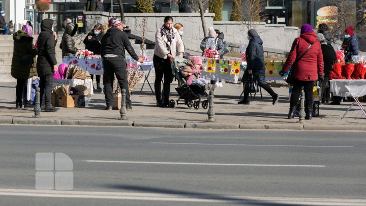 FOTOREPORT Первыe мэрцишоры