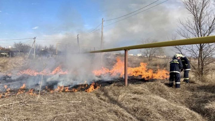 В Молдове резко возросло количество растительных пожаров