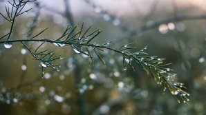 Прогноз погоды на 12 марта: в Молдове немного потеплеет