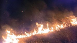 Молдова в огне: за последние сутки пожарные потушили 316 возгораний растительности