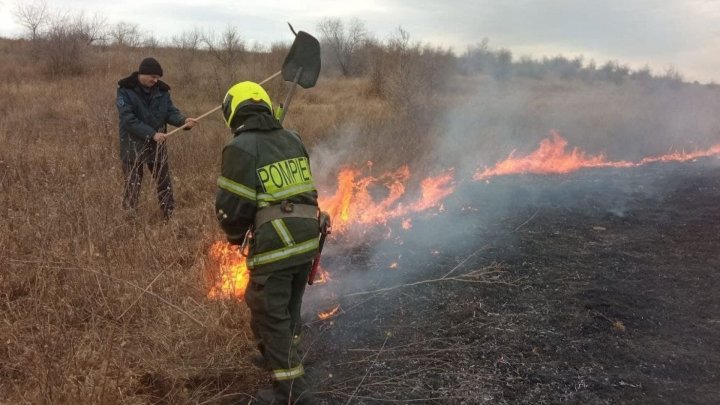 Миллионы леев уходят на тушение возгорания сухой травы: призыв спасателей