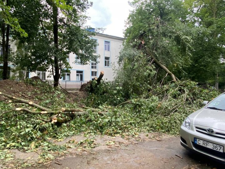 Мэрия Кишинева выделила 2,5 млн леев на устранение последствий ливня и сильного ветра (ФОТО)