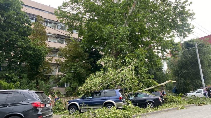 Сумма ущерба от прошедшего во вторник ливня в Кишиневе возросла