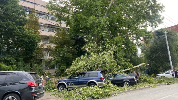 Мэрия Кишинева выделила 2,5 млн леев на устранение последствий ливня и сильного ветра (ФОТО)