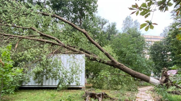 Мэрия Кишинева выделила 2,5 млн леев на устранение последствий ливня и сильного ветра (ФОТО)