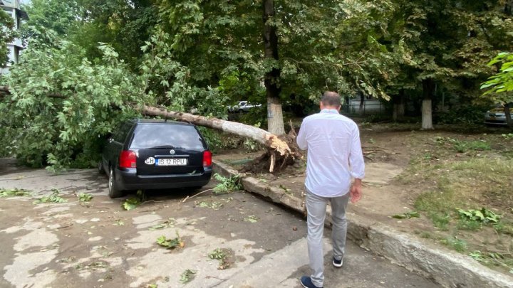 Мэрия Кишинева выделила 2,5 млн леев на устранение последствий ливня и сильного ветра (ФОТО)