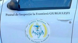 Результаты обысков у 11 сотрудников погранпоста по фитосанитарному и ветеринарному контролю в Джурджулешть